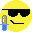 mosskoi/emoji-autocomplete-owncast-plugin
